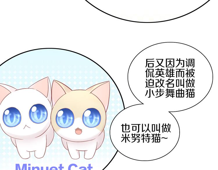 第181回  拿破仑(1/2)-第182话