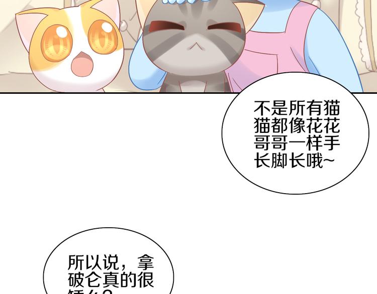 第181回  拿破仑(1/2)-第182话