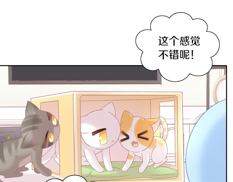 第187话 暖暖的窝(1/2)-第188话