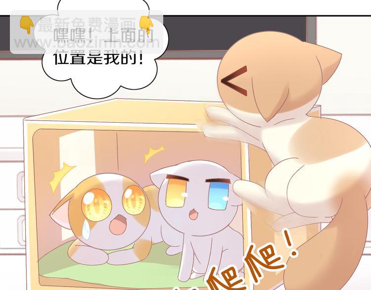 第187话 暖暖的窝(1/2)-第188话