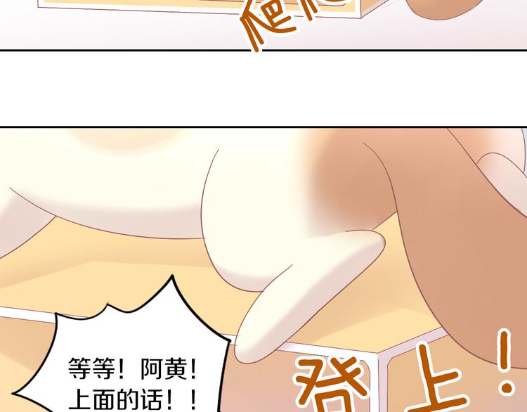 第187话 暖暖的窝(1/2)-第188话