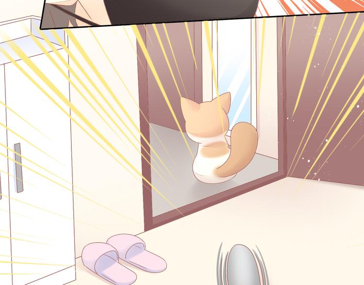 第189话 杂物堆里的它(1/2)-第190话