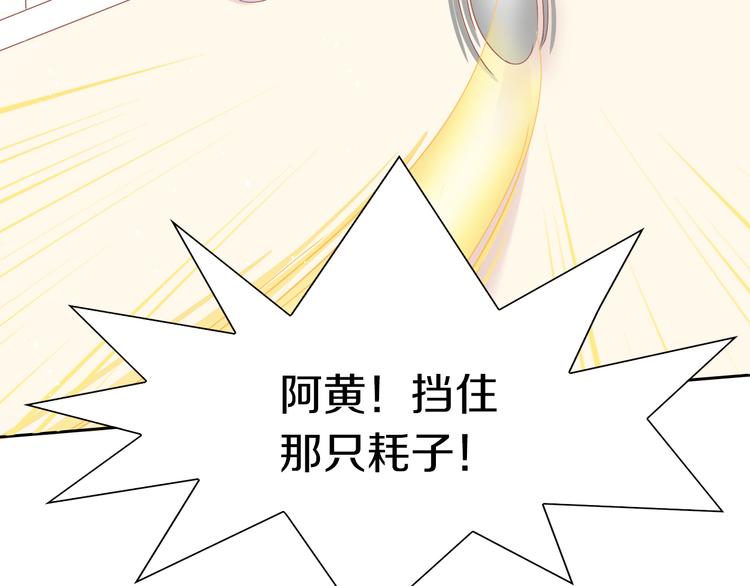 第189话 杂物堆里的它(1/2)-第190话