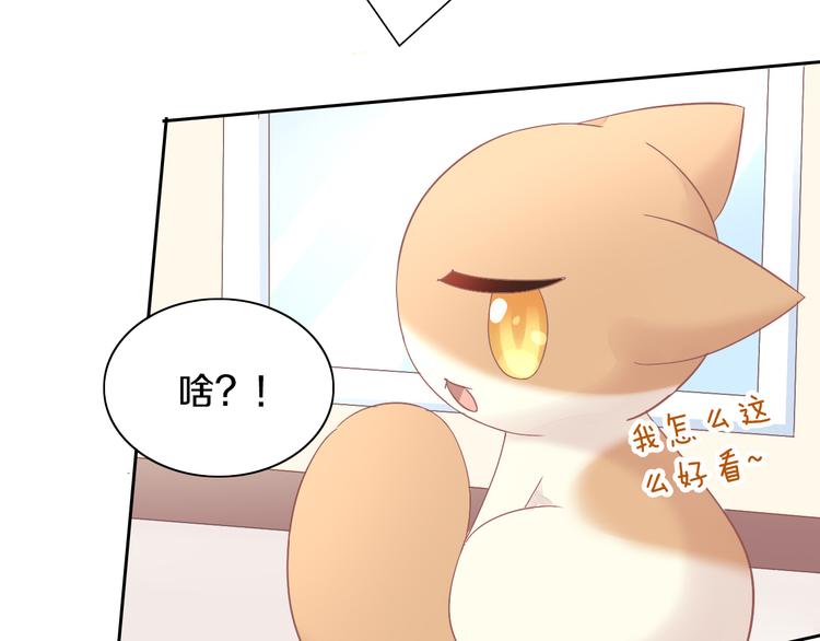 第189话 杂物堆里的它(1/2)-第190话