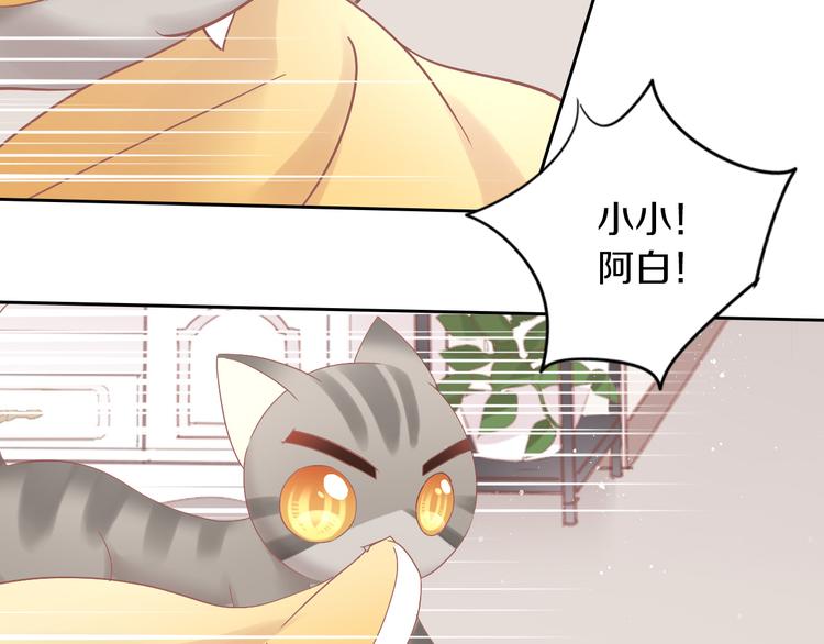 第189话 杂物堆里的它(1/2)-第190话