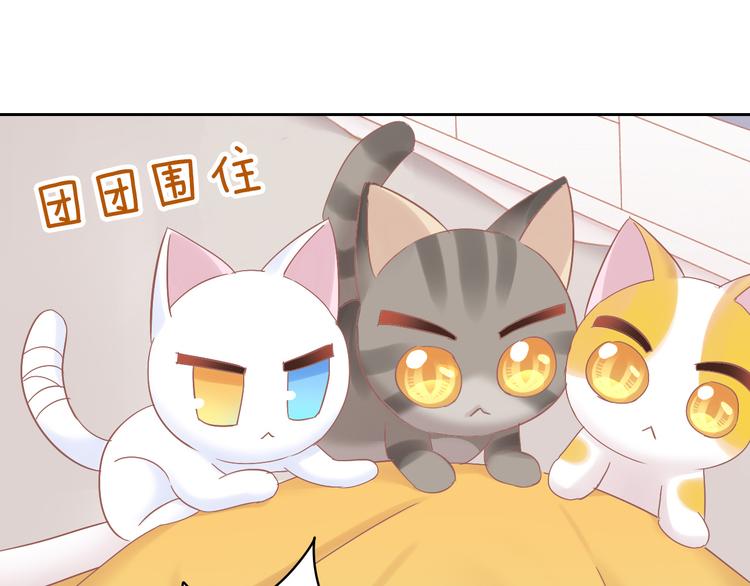 第189话 杂物堆里的它(1/2)-第190话