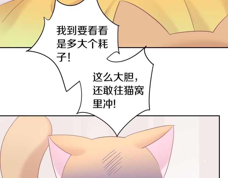 第189话 杂物堆里的它(1/2)-第190话