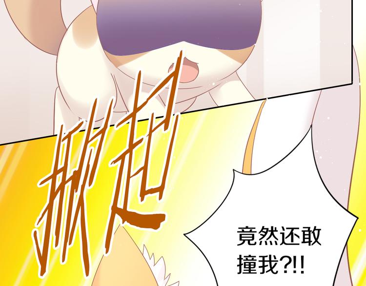 第189话 杂物堆里的它(1/2)-第190话