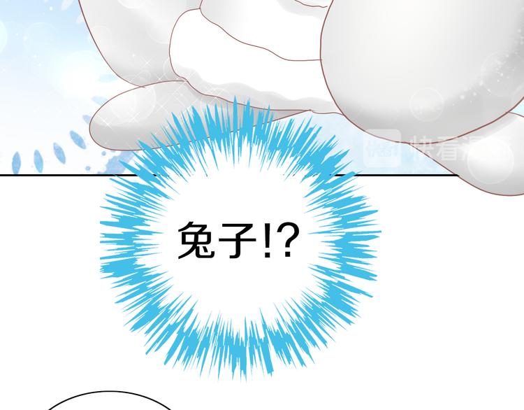 第189话 杂物堆里的它(1/2)-第190话