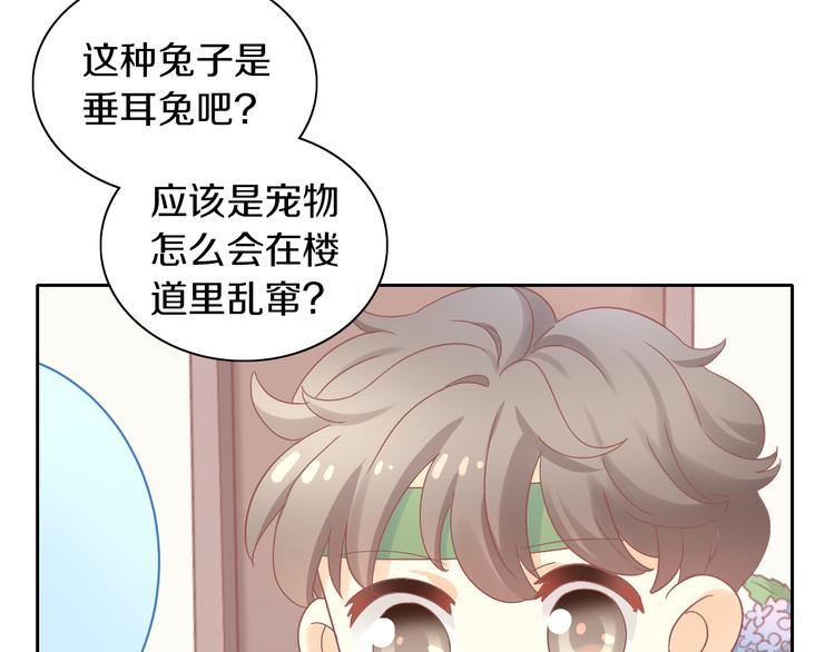 第189话 杂物堆里的它(1/2)-第190话
