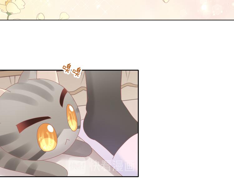 第193话 被抛弃的它(1/3)-第194话