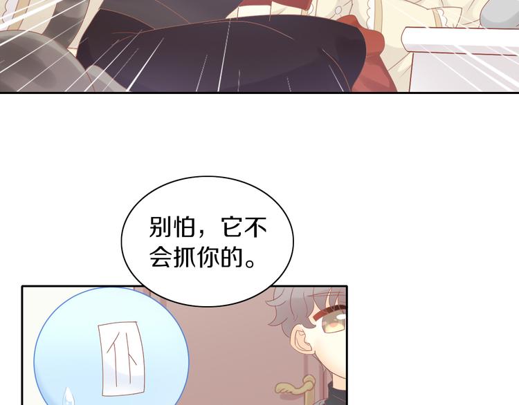 第193话 被抛弃的它(1/3)-第194话
