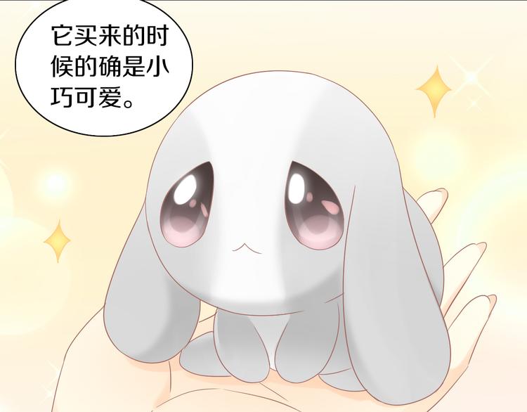 第193话 被抛弃的它(1/3)-第194话