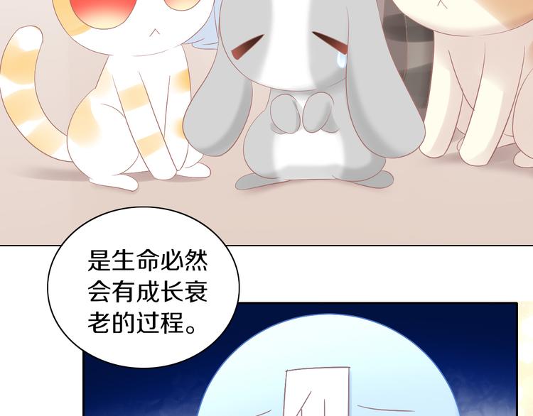 第193话 被抛弃的它(1/3)-第194话