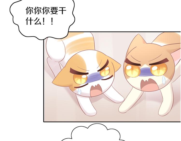 第195话  宠物毛毡(1/2)-第196话