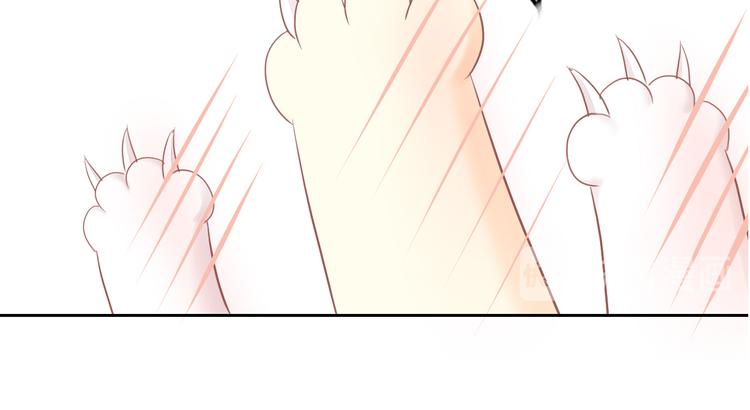 第195话  宠物毛毡(1/2)-第196话