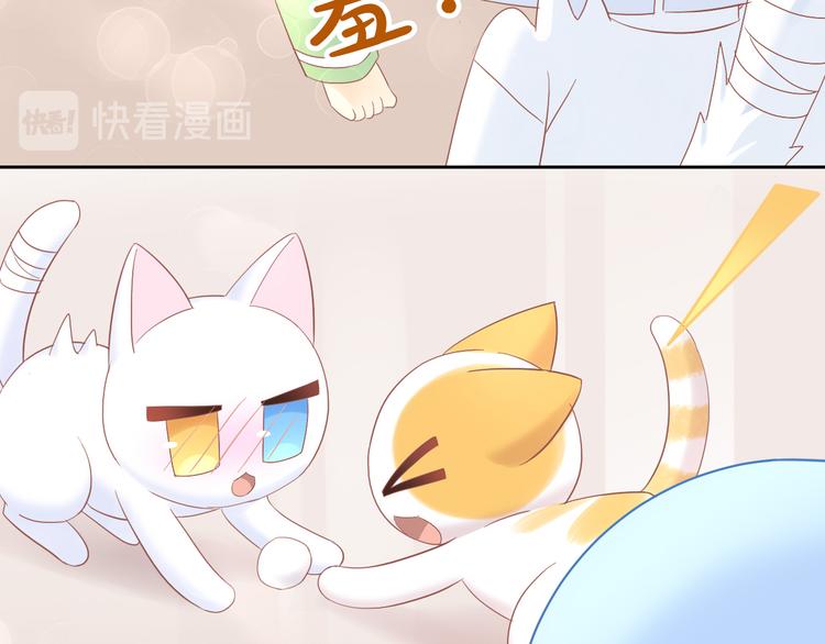 第195话  宠物毛毡(1/2)-第196话