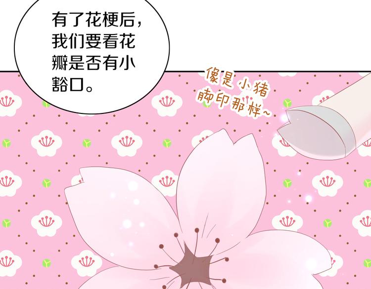 第197话 樱花攻略(1/2)-第198话