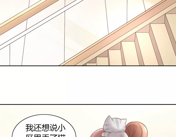 第24话 猫咪专家(1/2)-第24话