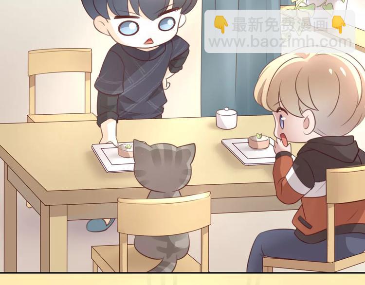 第24话 猫咪专家(1/2)-第24话