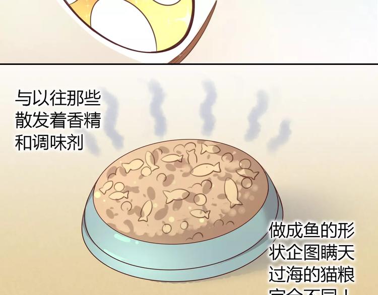 第24话 猫咪专家(1/2)-第24话