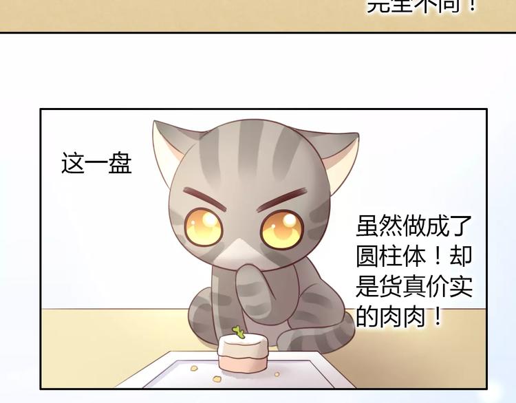 第24话 猫咪专家(1/2)-第24话