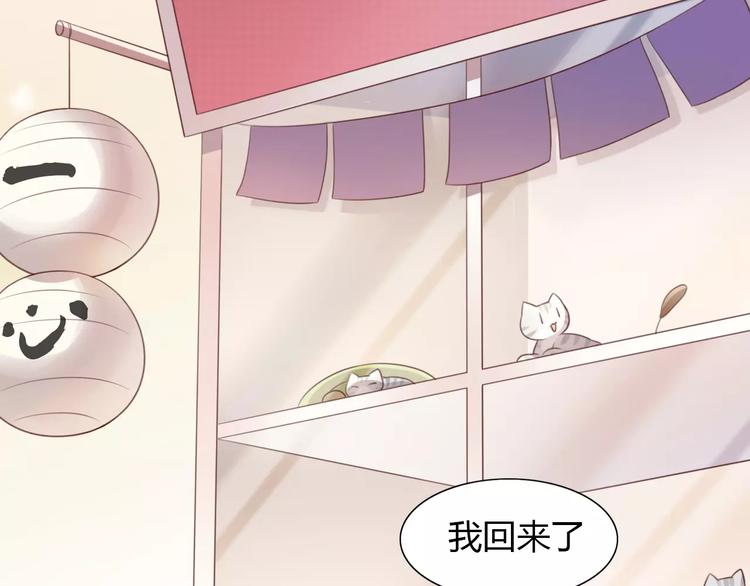 第24话 猫咪专家(1/2)-第24话