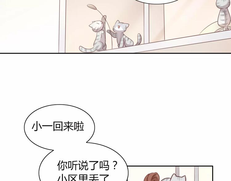 第24话 猫咪专家(1/2)-第24话