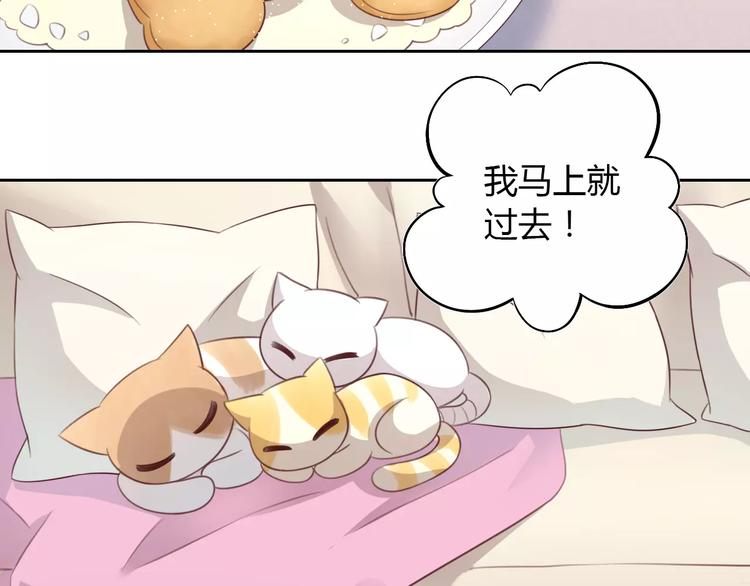 第30话 即将团聚(1/2)-第30话