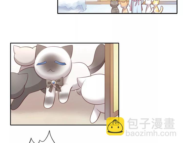 第34话 猫执事（上）(1/2)-第34话