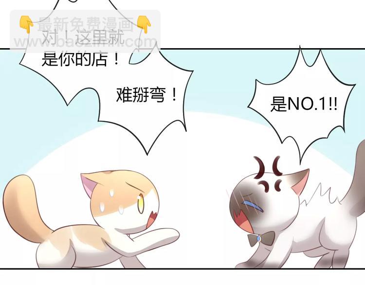 第34话 猫执事（上）(1/2)-第34话