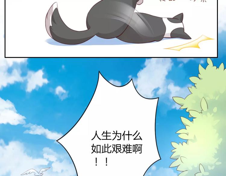 第36话  为什么不爱我！(1/2)-第36话