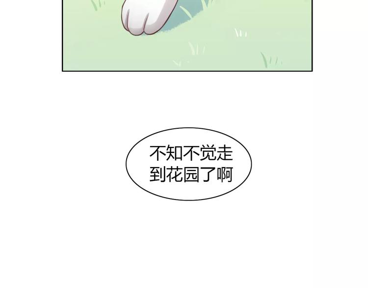 第36话  为什么不爱我！(1/2)-第36话