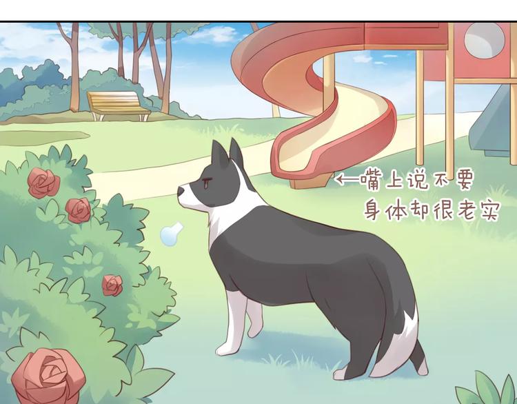 第36话  为什么不爱我！(1/2)-第36话
