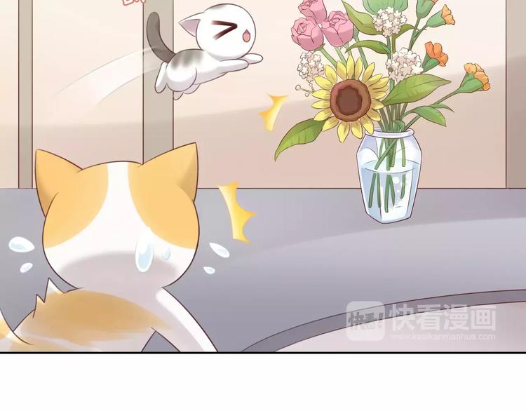 第44话 女王属性？(1/3)-第44话