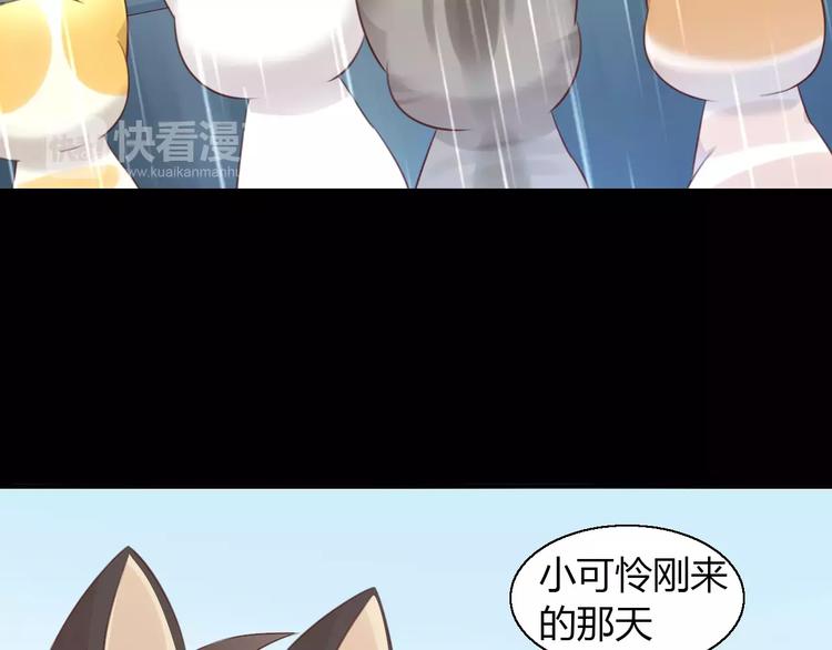 第48话 一定要找到你！(1/2)-第48话