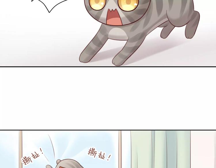第50话 互换身体！？(1/3)-第50话