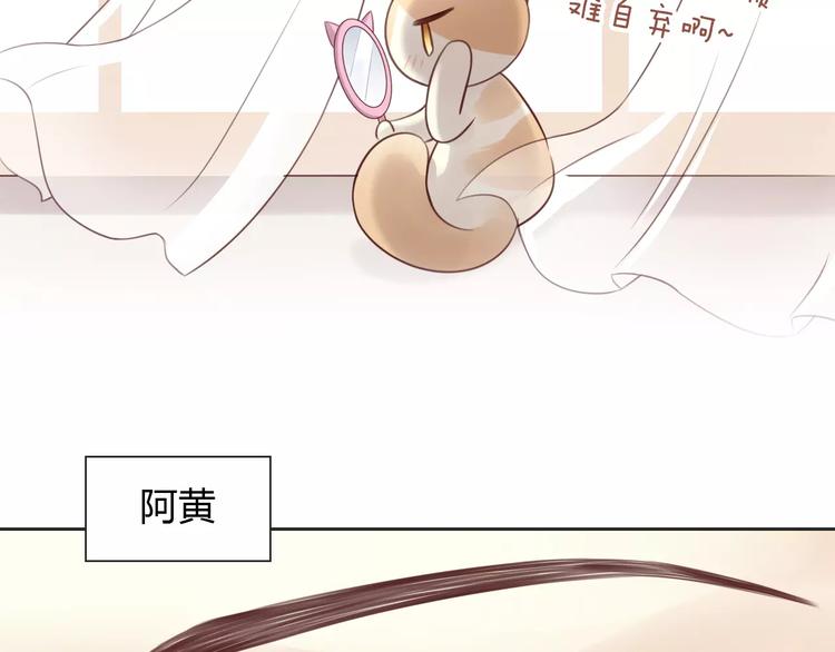 第50话 互换身体！？(1/3)-第50话