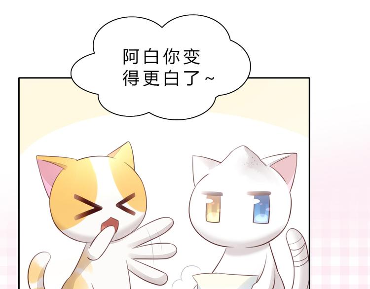 第56话 照片(1/2)-第56话