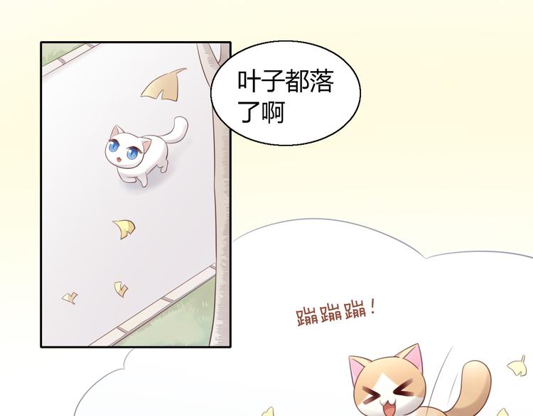 第60话 英雄救美(1/3)-第60话