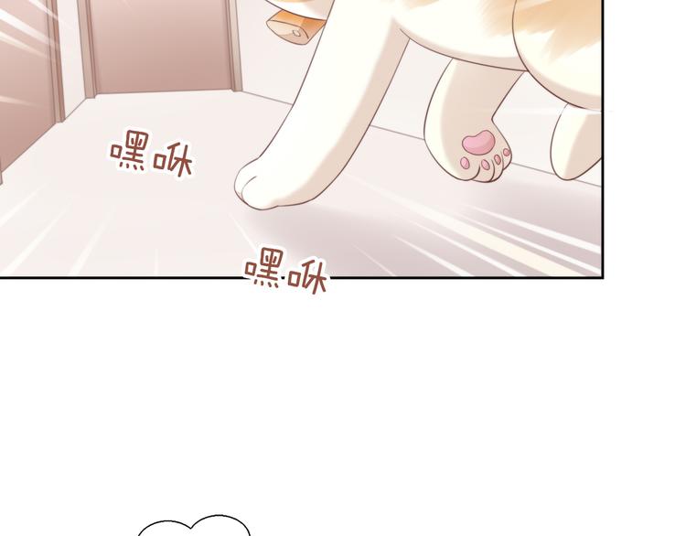 第67话 挽救(1/3)-第68话