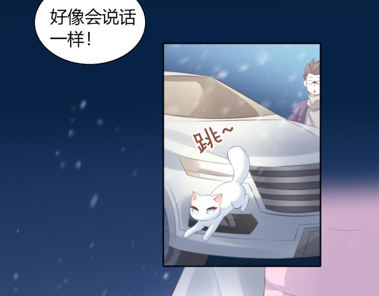 第71话 属于你的幸福(1/2)-第72话