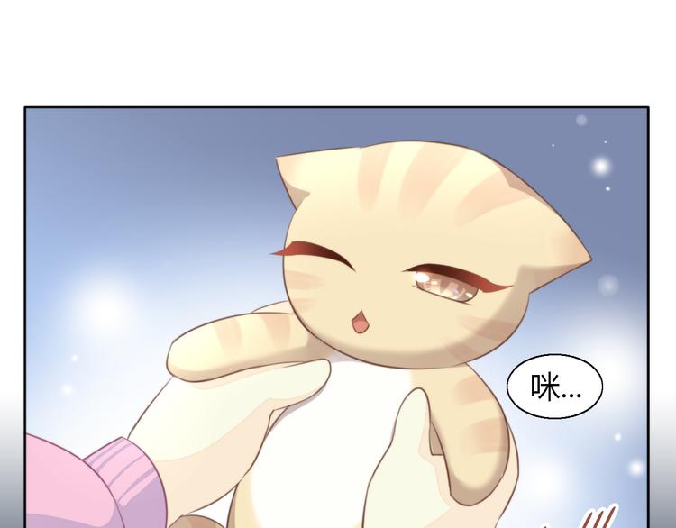 第71话 属于你的幸福(1/2)-第72话