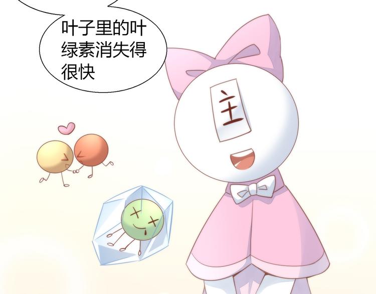 第75话 枫叶的传说(1/2)-第76话