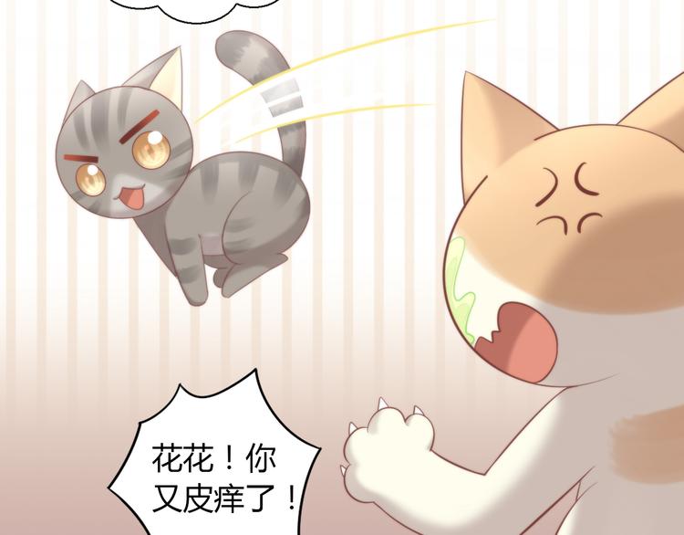 第77话 燃烧你的卡路里(1/2)-第78话