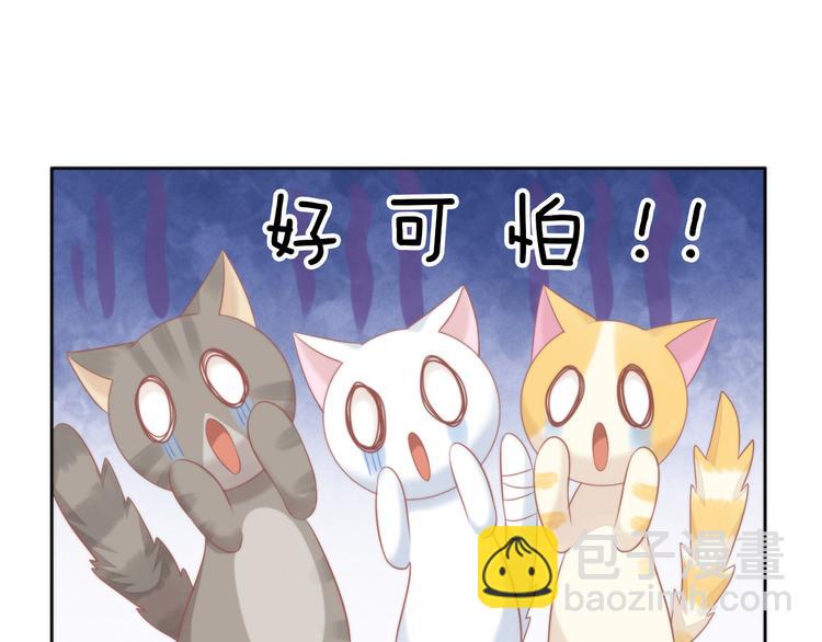 第79话 一只猫的战争(1/2)-第80话
