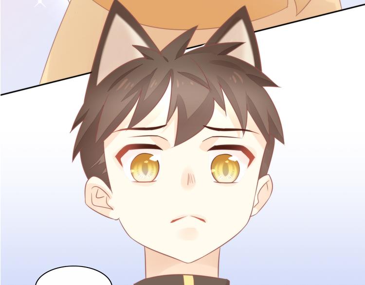 第79话 一只猫的战争(1/2)-第80话