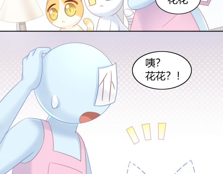 第79话 一只猫的战争(1/2)-第80话