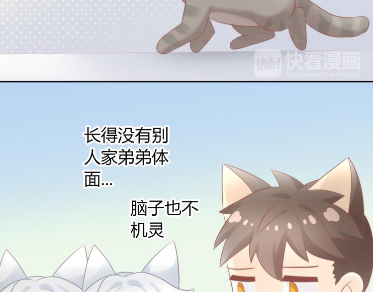 第79话 一只猫的战争(1/2)-第80话