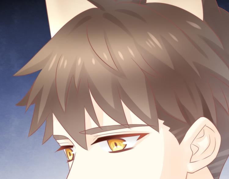 第79话 一只猫的战争(1/2)-第80话